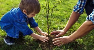 photo book ideas, A Guide to Saving the World: from Walking to Work to Polcore Picture Frames, Memory Box